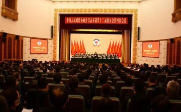 区政协委员述职报告范文5篇