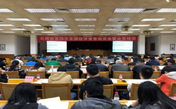 乡镇统计年度总结6篇
