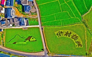 2024年村级乡村振兴调研报告7篇