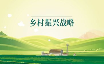 2024年乡村振兴工作报告精选5篇