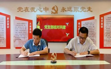 党支部述职职报告精选6篇