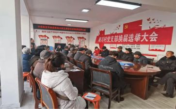 支部换届党支部工作总结5篇