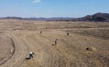 2024年社会治理工作总结8篇