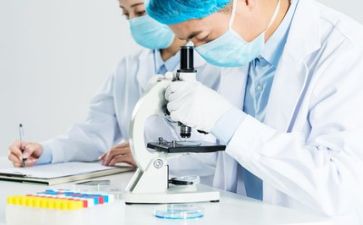 技术质量工作总结5篇
