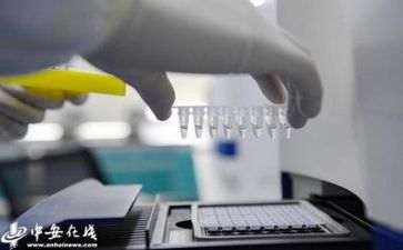 数质量岗工作总结最新8篇