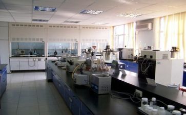 质量组年终工作总结5篇