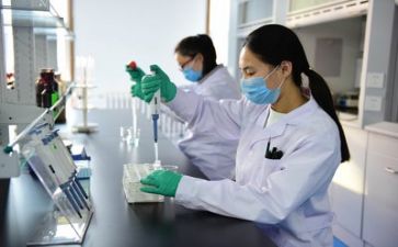 质量员的述职报告8篇