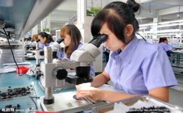 查质量心得体会通用8篇