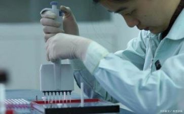 2024年质量安全工作总结8篇