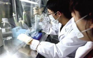 质量工作总结范文模板6篇