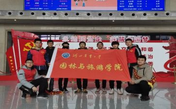 镇志愿服务活动总结参考7篇