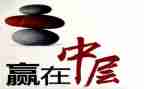 2024中层干部工作总结5篇
