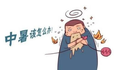 高中暑期实践报告8篇