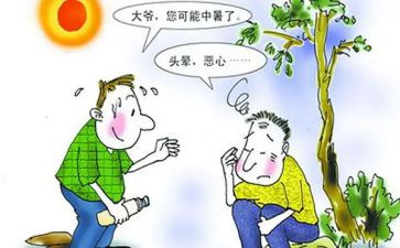 高中暑假心得体会800字7篇