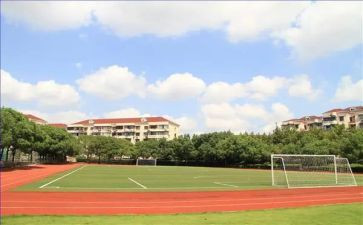 中学化学生本教育心得体会最新6篇