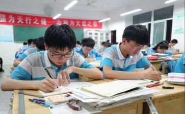 秧状元读后感5篇