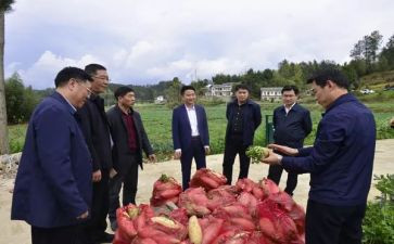 访农村助农村调研报告参考7篇