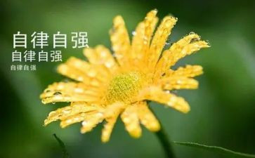 做自强不息的人演讲稿推荐6篇