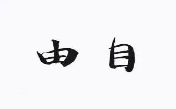 自由的心得最新5篇
