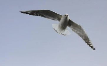 财务自由之路读后感7篇