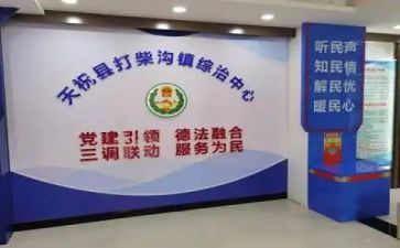 村个人综治述职报告通用5篇