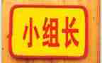村组长2024述职报告范文6篇