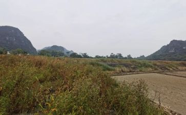 运输租赁合同参考6篇